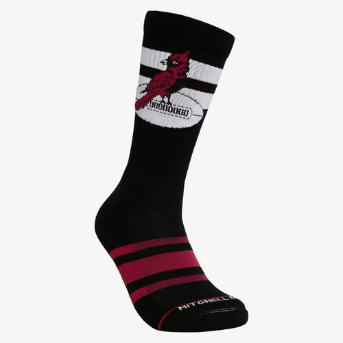Arizona cardinals nfl american - arizona,