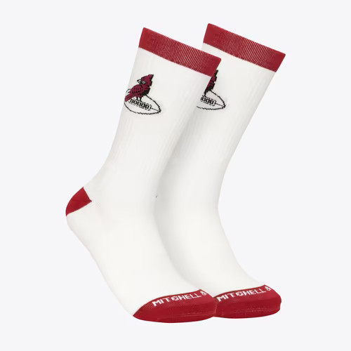 Arizona cardinals nfl - arizona,